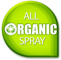 Organic Sunless Spray Tan