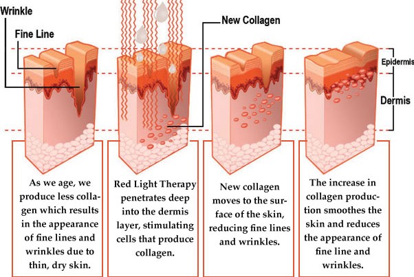 How Red Light Therapy Works at Oahu's best indoor tanning salon